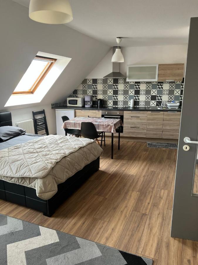 Super Appartement Colmar Centre المظهر الخارجي الصورة