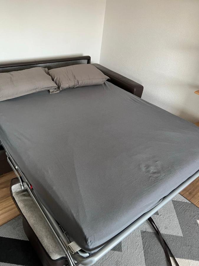 Super Appartement Colmar Centre المظهر الخارجي الصورة