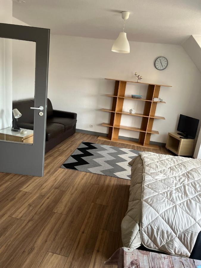 Super Appartement Colmar Centre المظهر الخارجي الصورة