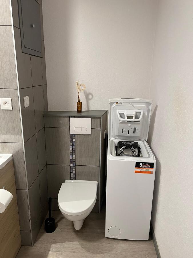 Super Appartement Colmar Centre المظهر الخارجي الصورة