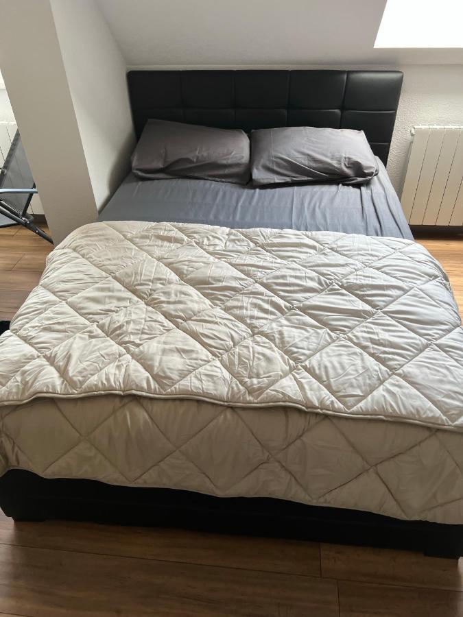 Super Appartement Colmar Centre المظهر الخارجي الصورة